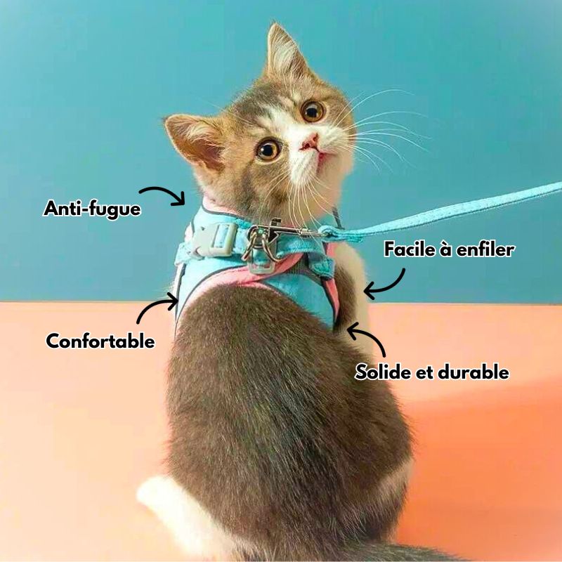 Harnais pour chat (laisse offerte) - Harnouche®